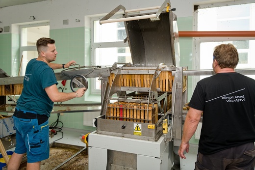 Česká včela 056.jpg