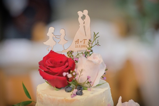 Svatba Adéla a Tomáš 432.jpg