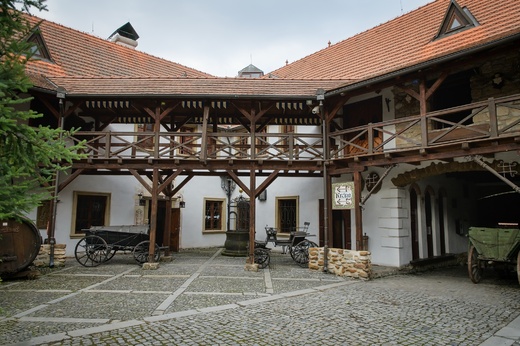 Veronika a Jan 003.jpg